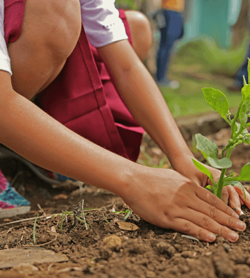 Growing Plants